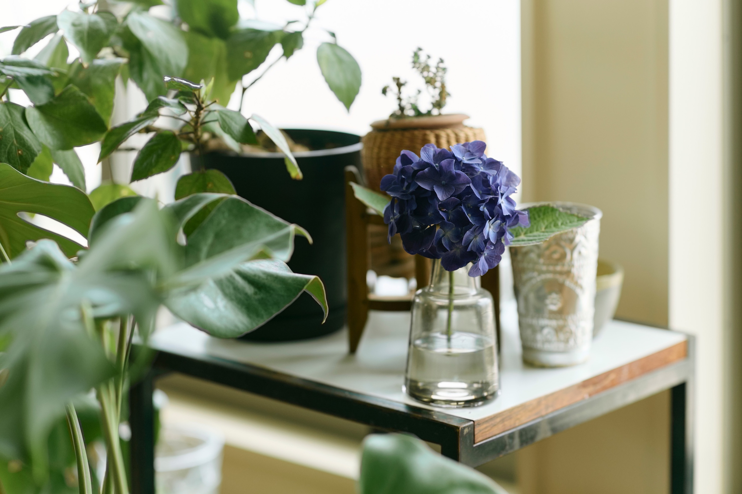 straight design lab | chigasaki flat